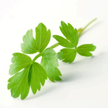 Wiberg lovage, posusen - 130 g - Aroma varna Wiberg lovage, posusen - 130 g - Aroma varna