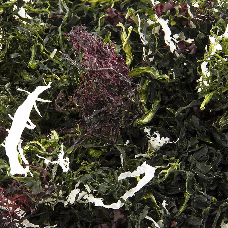 Kaiso Mix susenih morskih algi, susene alge, 6 vrsta morskih algi za Kaiso salatu - 100 g - torba