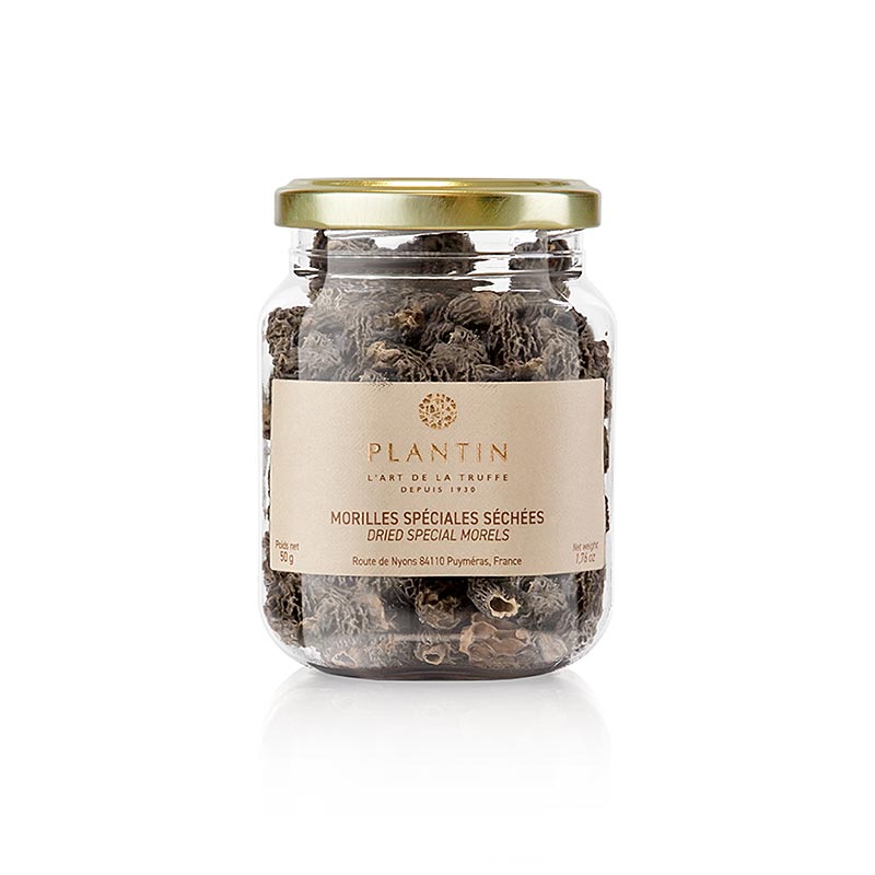 Capete de morel ascutit, speciale, de la Ø 3cm, Plantin - 50 g - Pe poate