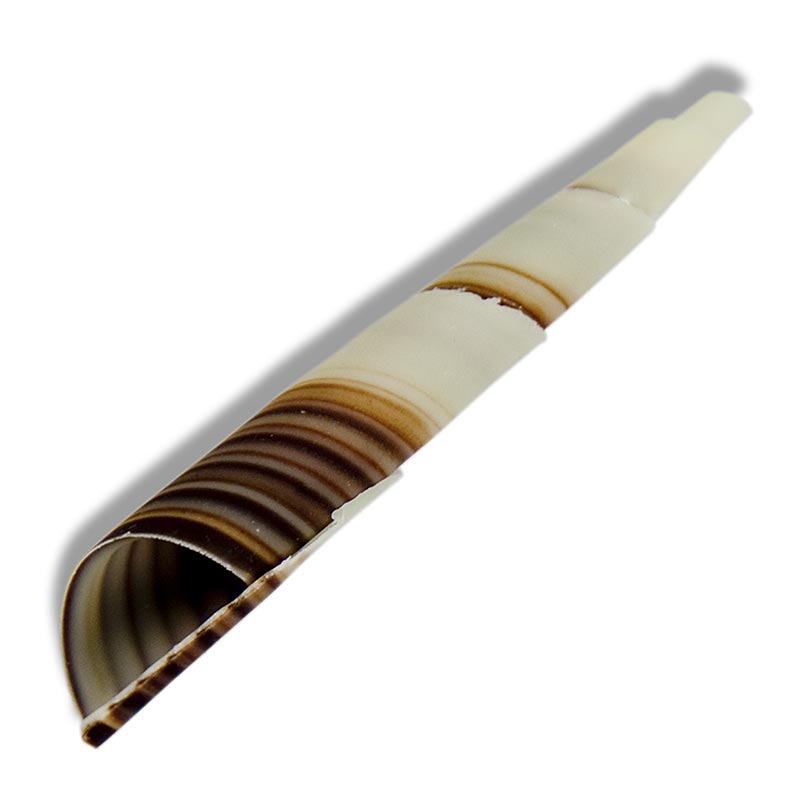 Topper decorativ Cornet - mini cornuri, marmorate, cca 80 mm - 350g, 117 bucati - Carton