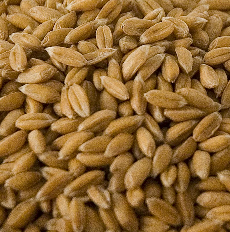 Spelt, hel, skraellet, oekologisk - 1 kg - taske