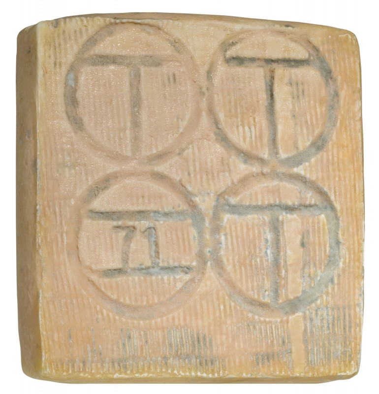 Taleggio DOP, stagionato, crveni sir od kravljeg mlijeka, Caseificio Carena - cca 2kg - Komad Taleggio DOP, stagionato, crveni sir od kravljeg mlijeka, Caseificio Carena - cca 2kg - Komad