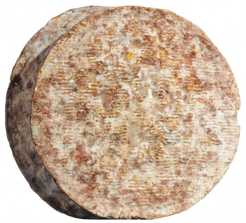 Tomme Crayeuse, lehmanmaidosta valmistettu puolikova juusto homekuorella, Alain Michel - noin 2kg - Pala