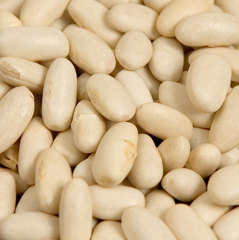 Beans, lingots blanc, white beans, medium-sized, dried - 1 kg - bag