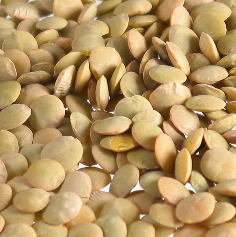 Lentils, blond, medium, plate lenses, France - 5 kg - bag