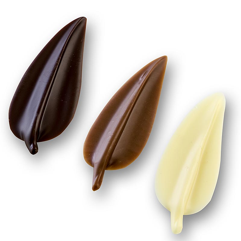 Nakladki dekoracyjne - Elegance mix - ksztalt liscia, 64 kolory jednolite, 48 jasnoniebieskich, 48 bialych - 205g, 160 sztuk - Karton