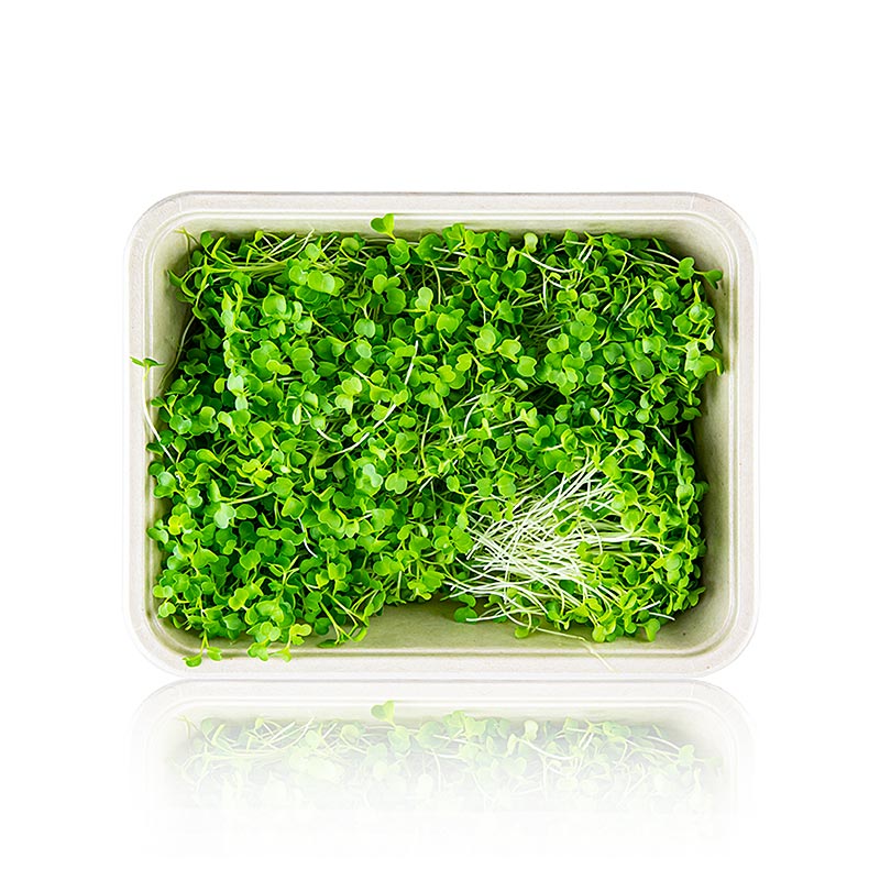 wypelniony mikrogreenami brokulami, bardzo mlodymi liscmi/sadzonkami - 75g - Skorupa PE