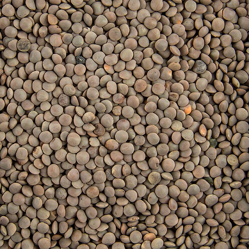 Leca, rjava, majhna - 5 kg - torba Leca, rjava, majhna - 5 kg - torba