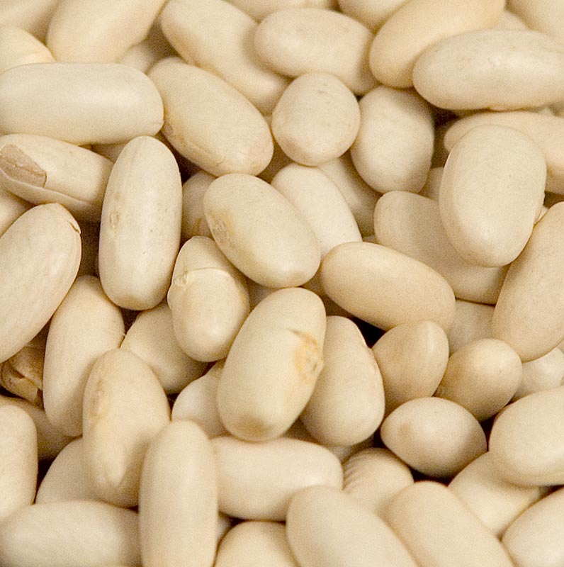 Beans, lingots blanc, white beans, medium, dried - 5 kg - bag