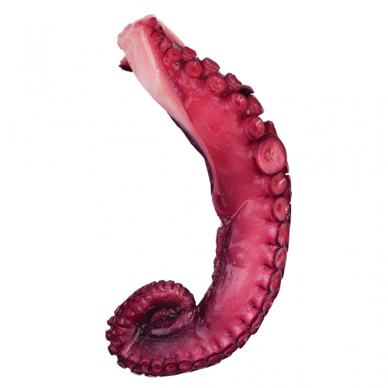 Polip 2 lab fott, vakuumcsomagolt, Fott polipcomb, vakuumcsomagolas, Salanort - kb 350 g - kg Polip 2 lab fott, vakuumcsomagolt, Fott polipcomb, vakuumcsomagolas, Salanort - kb 350 g - kg