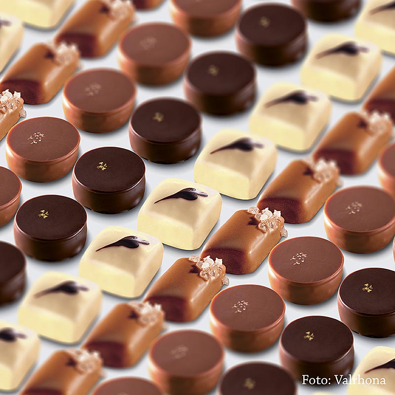Valrhona-praliner - miks, Sensation Classique, 4 kaker - 1,6 kg, 160 stykker - Kartong
