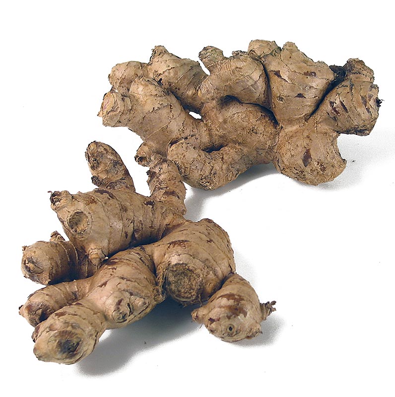 Akar jahe, segar - 1kg - tas Akar jahe, segar - 1kg - tas