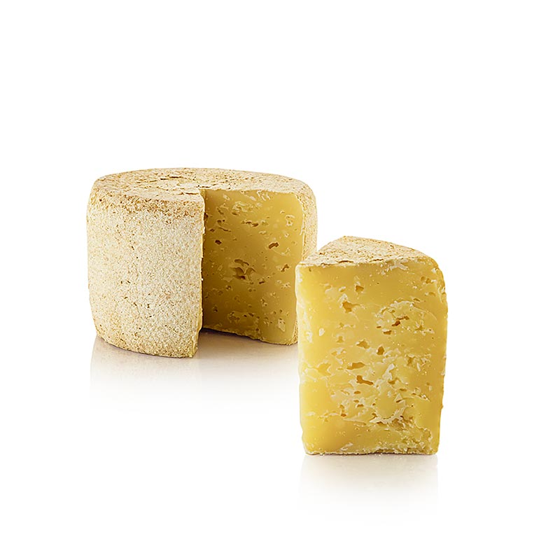 Deichkase EMAS, keju keras, roda utuh, Hof Backensholz, ORGANIK - kira-kira 500 gram - kekosongan Deichkase EMAS, keju keras, roda utuh, Hof Backensholz, ORGANIK - kira-kira 500 gram - kekosongan