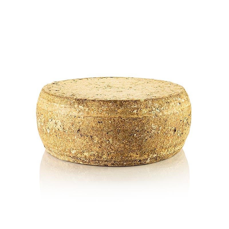 Deichkase EDEL, tvrdi sir, cijeli kotac, Hof Backensholz, organski - cca 6,5 kg - vakuum Deichkase EDEL, tvrdi sir, cijeli kotac, Hof Backensholz, organski - cca 6,5 kg - vakuum