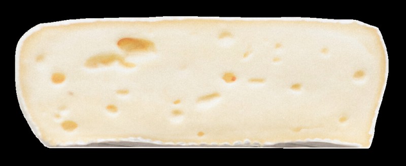 Candidum con latte di pecora, zachte kaas van schapenmelk met witte schimmel, Eggemairhof Steiner - ca. 280 gram - kg Candidum con latte di pecora, zachte kaas van schapenmelk met witte schimmel, Eggemairhof Steiner - ca. 280 gram - kg