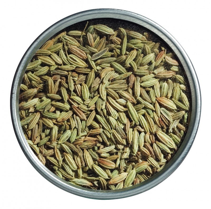 India, fennel seeds, organic, whole, Le Specialita di Viani - 40 g - Tin India, fennel seeds, organic, whole, Le Specialita di Viani - 40 g - Tin