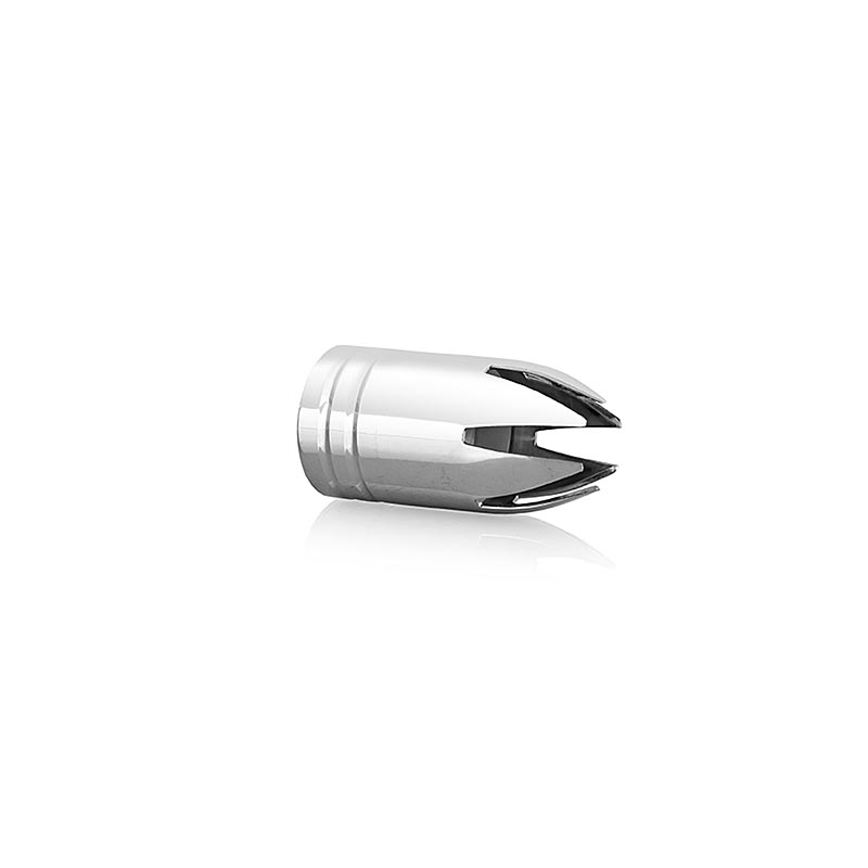 Broquet de guarnicio, d`acer inoxidable, per a dispositiu autonom Thermo Sprayer Xpress Whip - 1 peca - Solta Broquet de guarnicio, d`acer inoxidable, per a dispositiu autonom Thermo Sprayer Xpress Whip - 1 peca - Solta
