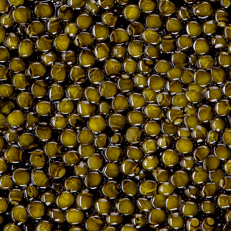 Havjar i perzgjedhjes perandorake, kryq Amur x bli Kaluga (schrenckii x dau), Kine - 250 g - mund Havjar i perzgjedhjes perandorake, kryq Amur x bli Kaluga (schrenckii x dau), Kine - 250 g - mund