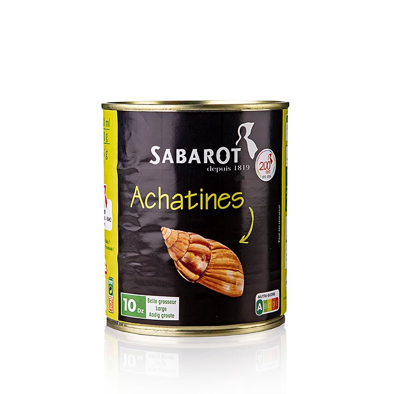 Achat csigak (Achatines), 10 tucat, kozepes meretu, sabarvoros - 800g, 120 db - tud