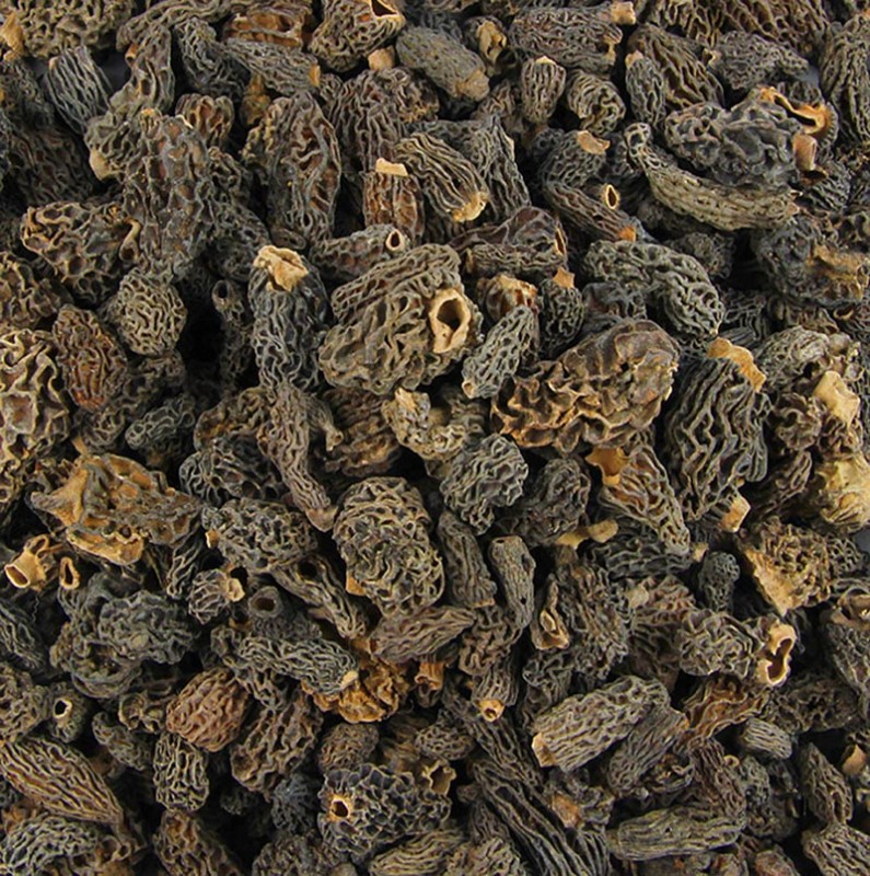 Spitzmorchel-Köpfe, Tinies, getrocknet - 200 g - Beutel