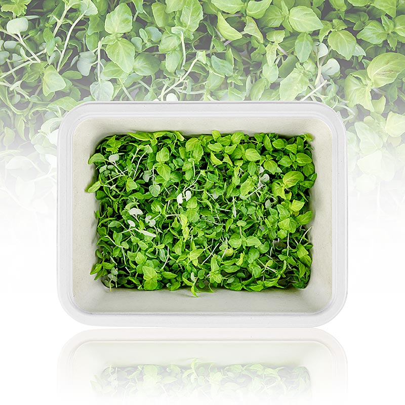 fullpakket med mikrogroent ShisoGreens, unge blader/froeplanter - 25 g - PE-skall fullpakket med mikrogroent ShisoGreens, unge blader/froeplanter - 25 g - PE-skall