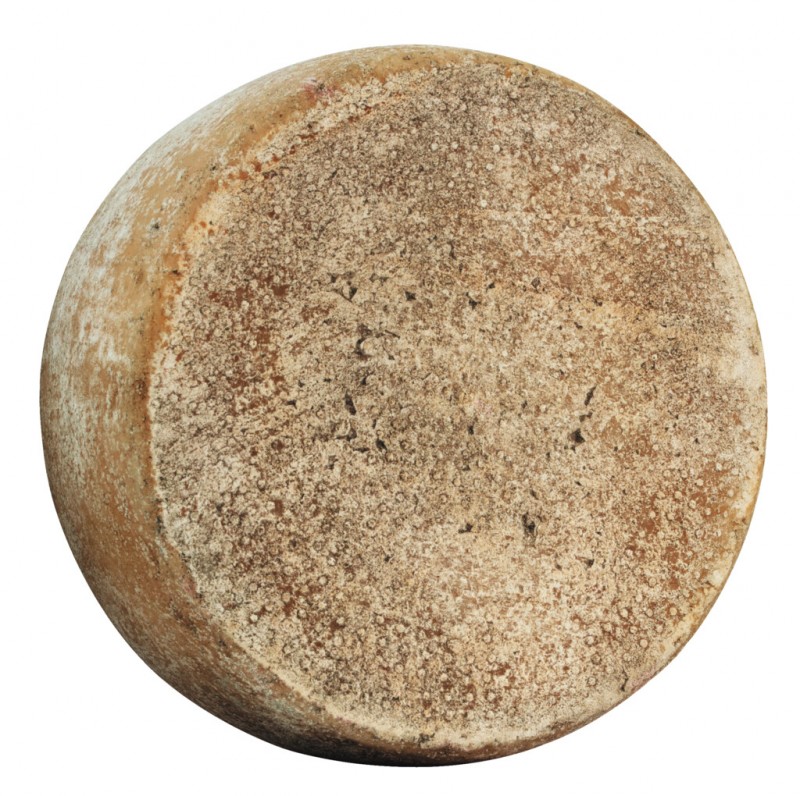 Pecorino stagionato a latte crudo, bio, ovcji sir, zorjen, iz surovega mleka, bio, Busti - cca 2,2 kg - kg Pecorino stagionato a latte crudo, bio, ovcji sir, zorjen, iz surovega mleka, bio, Busti - cca 2,2 kg - kg