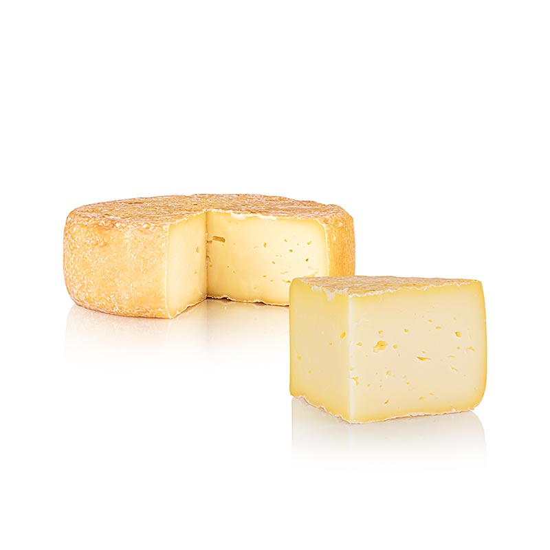 Petit Husumer, fromage a pate mi-dure, Hof Backensholz bio - environ 400 g - film Petit Husumer, fromage a pate mi-dure, Hof Backensholz bio - environ 400 g - film