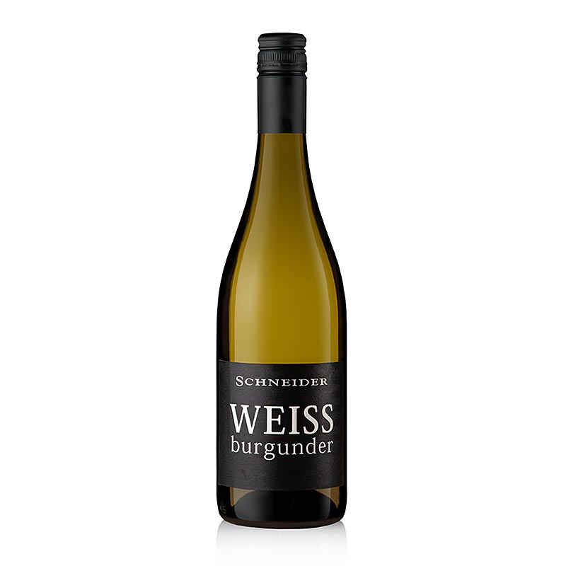 2023 Weissburgunder QW, kering, 12,5% vol., Schneider - 750 ml - Botol 2023 Weissburgunder QW, kering, 12,5% vol., Schneider - 750 ml - Botol