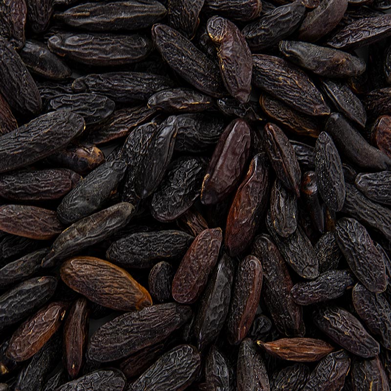 Kacang Tonka, pertumbuhan liar di Brazil - 1 kg - beg