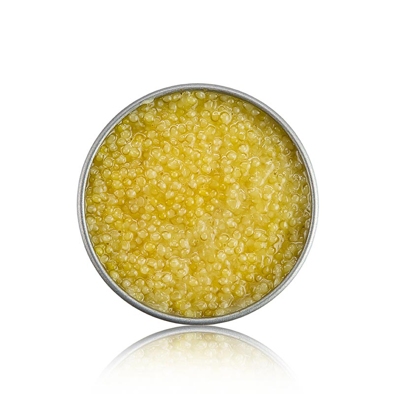 Caviar Desietra Selection de esterlet albino, Aquaculture Germany - 30g - poder Caviar Desietra Selection de esterlet albino, Aquaculture Germany - 30g - poder