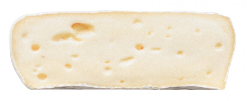 Candidum con latte di pecora, Weichkäse aus Schafmilch mit Weißschimmel, Eggemairhof Steiner - ca. 280 g - kg Candidum con latte di pecora, Weichkäse aus Schafmilch mit Weißschimmel, Eggemairhof Steiner - ca. 280 g - kg