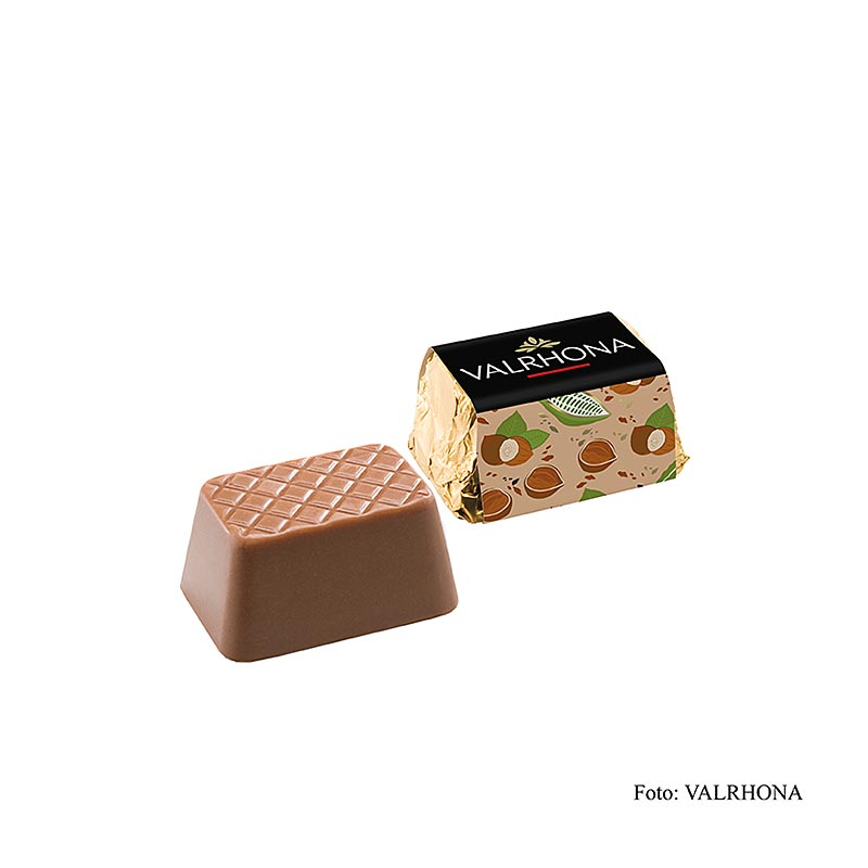Valrhona Lingot Praline - Gianduja Mini Goldbarren, Knuspernougat - 2 kg, ca.200 Stück - Schachtel Valrhona Lingot Praline - Gianduja Mini Goldbarren, Knuspernougat - 2 kg, ca.200 Stück - Schachtel