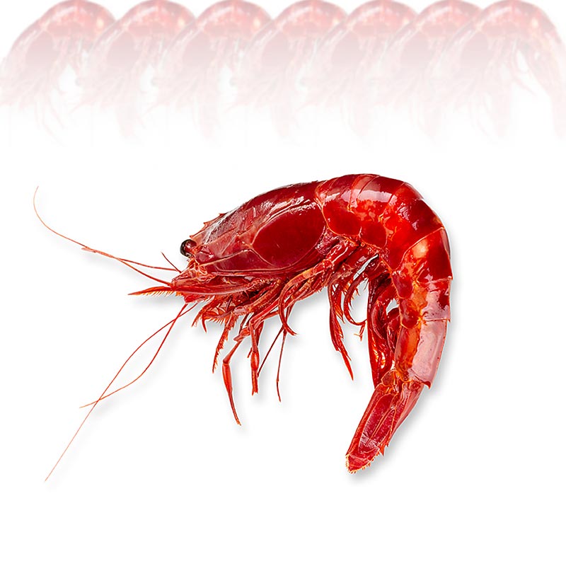 Udang Carabinieros laut dalam, keseluruhan, HOSO - 800 g, lebih kurang. 8 keping - kadbod