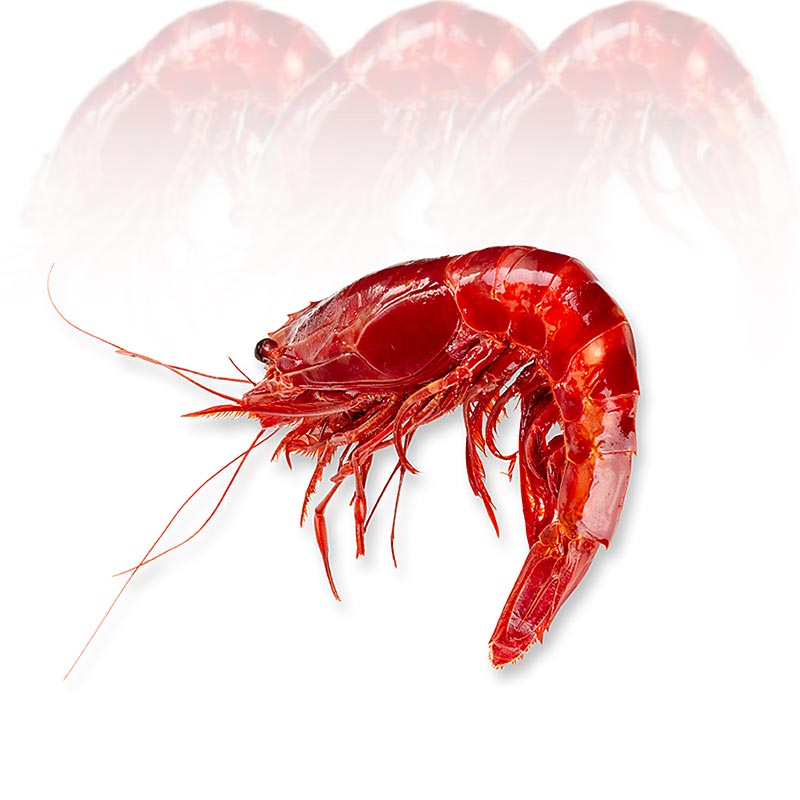 Udang Carabinieros laut dalam, utuh, HOSO - 400 g, sekitar 4 buah - kekosongan