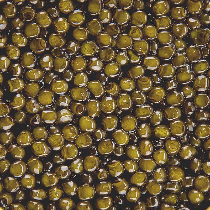 Caviar de selecao imperial Kaluga (Huso dauricus) - 50g - pode