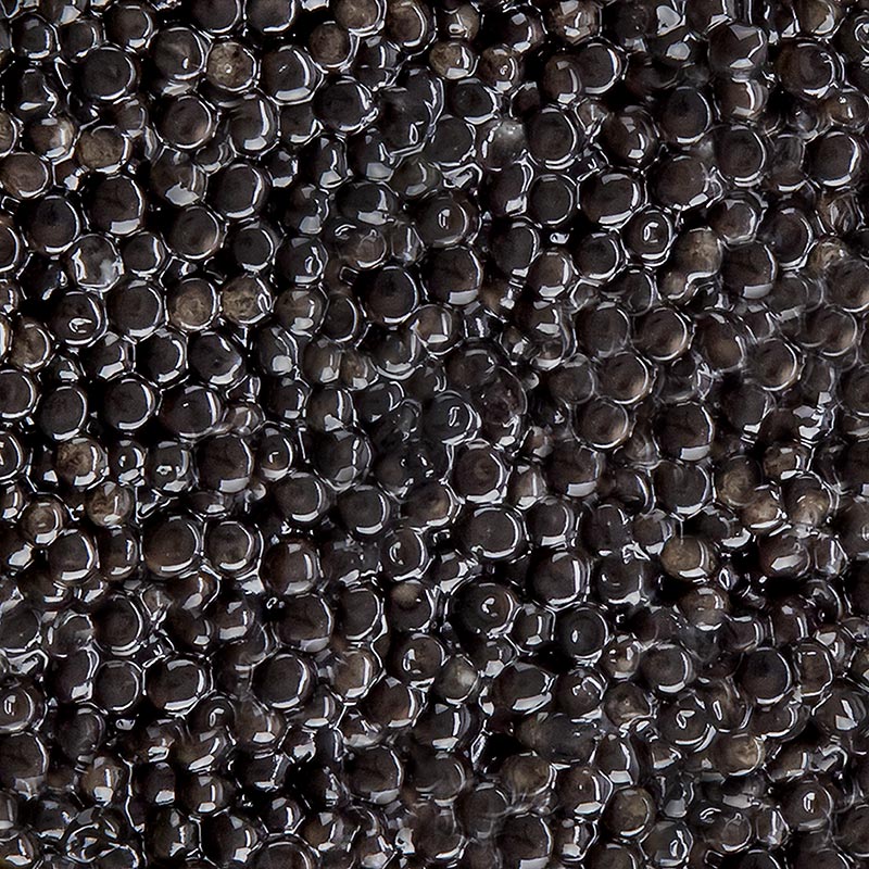 BOS FOOD Selection Premium - Caviar Baerii (baerii), Aquaculture, sans conservateurs - 125 g - peut