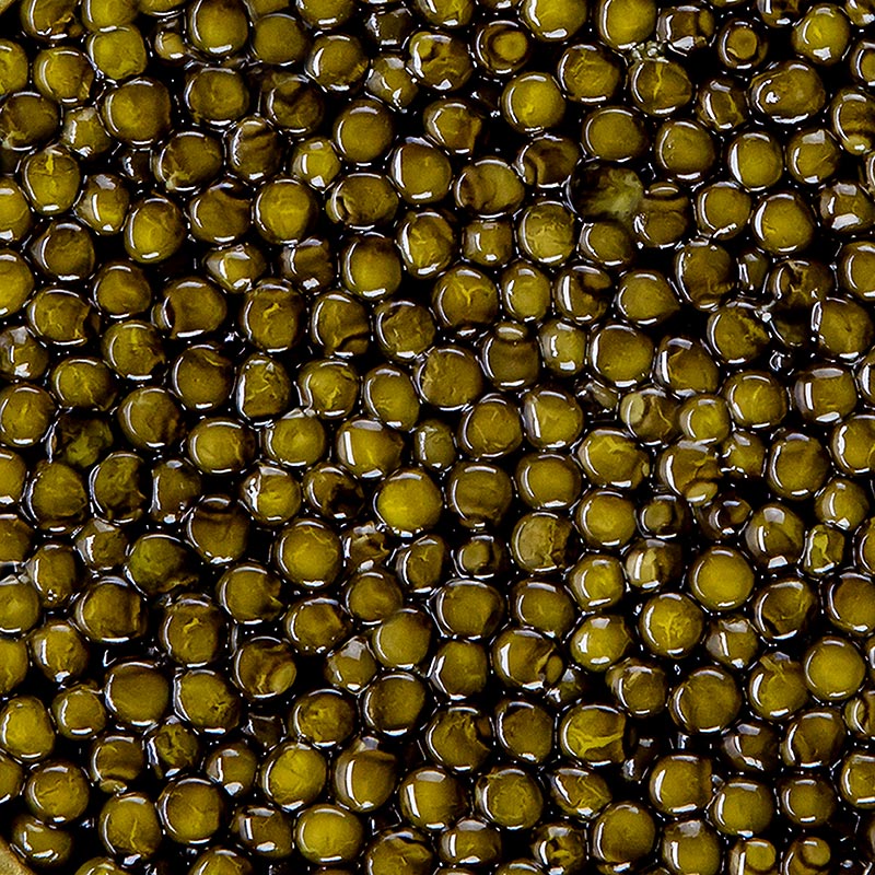 BOS FOOD Premium Selection - Amur x Kaluga krydsning, akvakultur, ingen konserveringsmidler - 20 g - kan