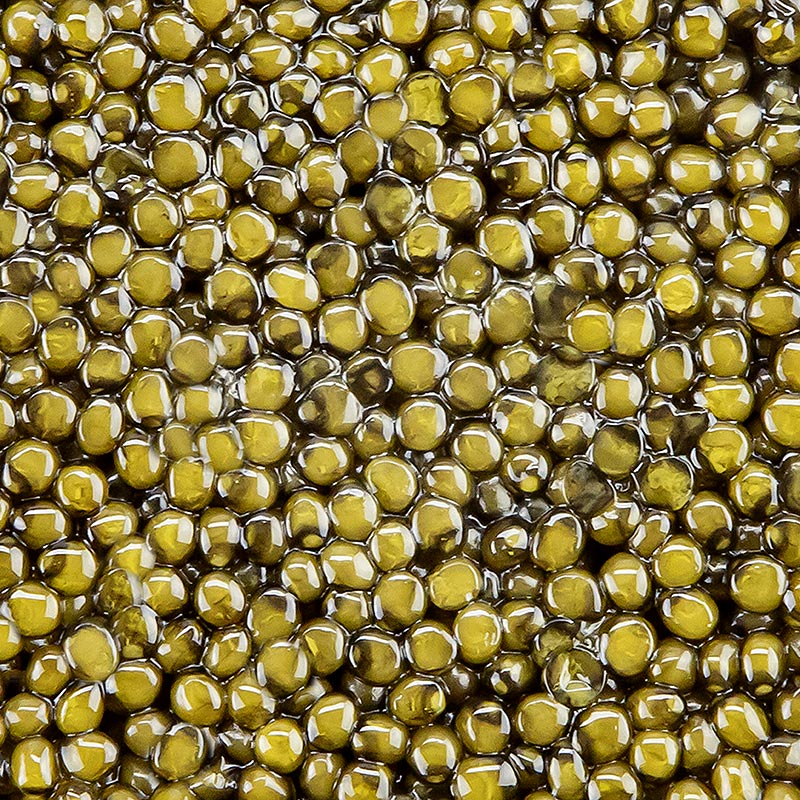 BOS FOOD Selection Premium - Ossetra (gueldenstaedtii), aquaculture, sans conservateurs - 30 g - peut