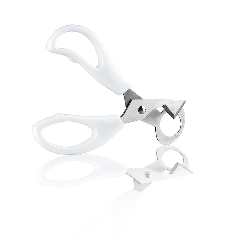 Quail egg scissors - 1 pc - bag