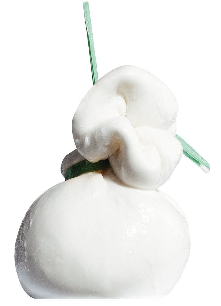 Formaggio fresco di latte vaccino, Burrata di Andria, Olanda - circa 250 g - kg