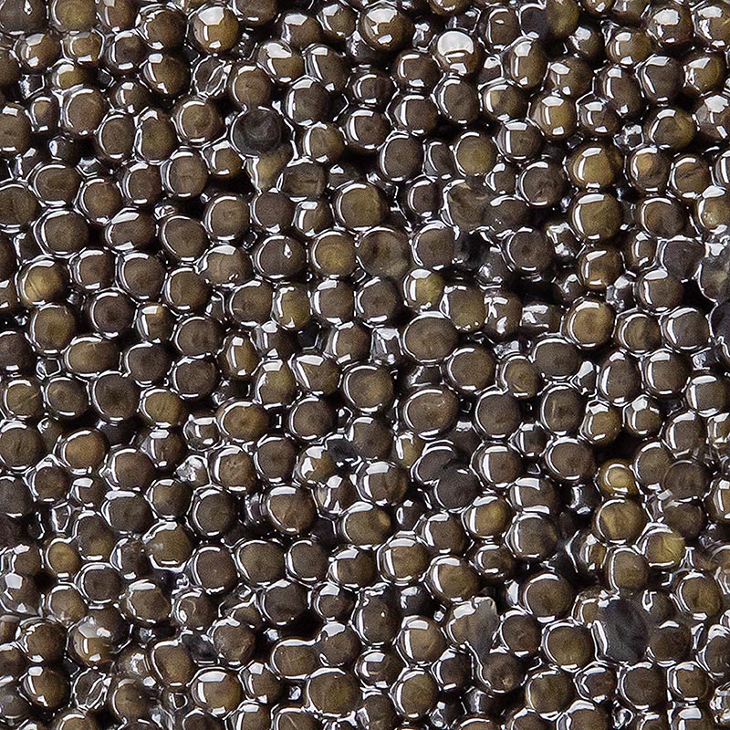 Selectie van kaviaar van de Siberische steur Acipenser baerii, aquacultuur China - 50 g - Kan