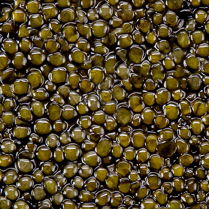 Seleccion Caviar Ossetra (Acipenser gueldenstaedtii) - 30g - poder Seleccion Caviar Ossetra (Acipenser gueldenstaedtii) - 30g - poder