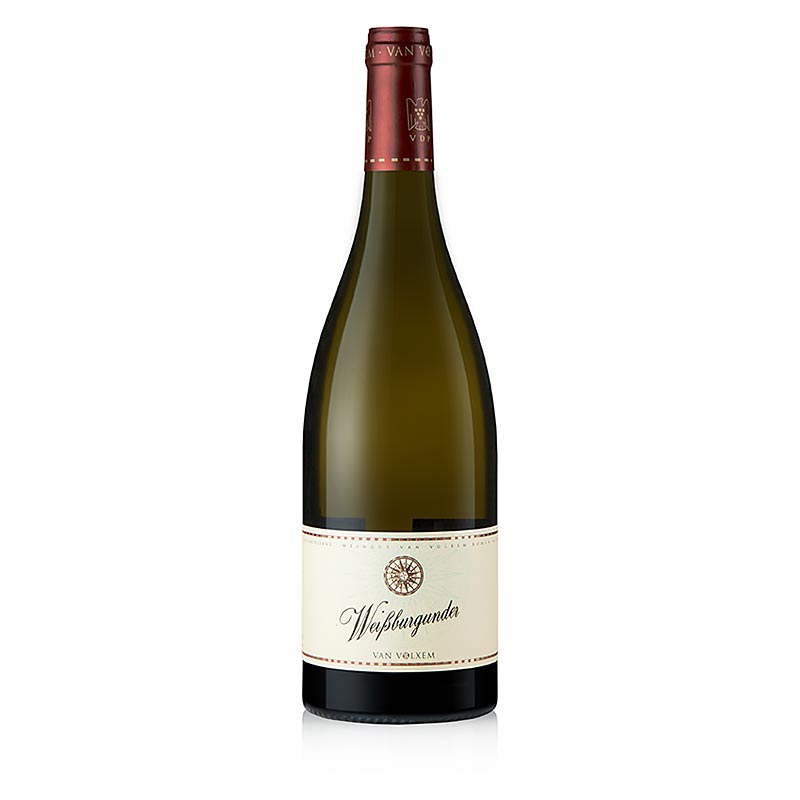 2024 Pinot Blanc QW, suche, 12,5 % obj., Van Volxem - 750 ml - Flasa