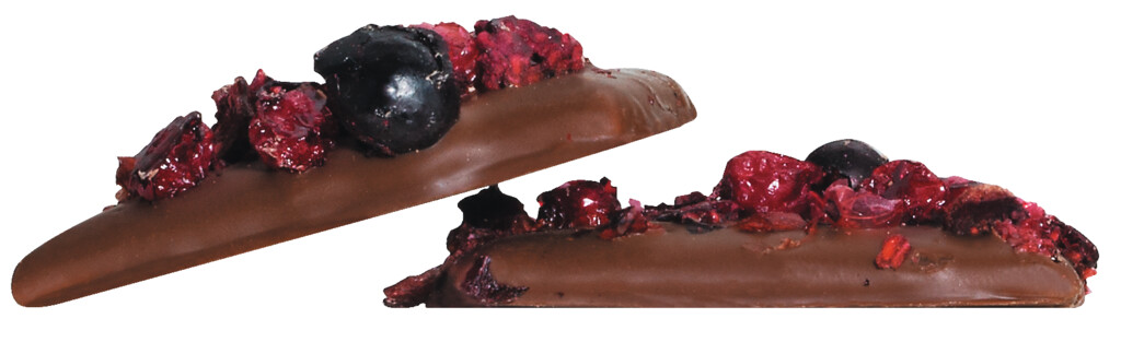 Karamel en chocolade au lait et fruits rouges, karamel van gezouten boter met rode bessen, Dolfin - 45g - pak