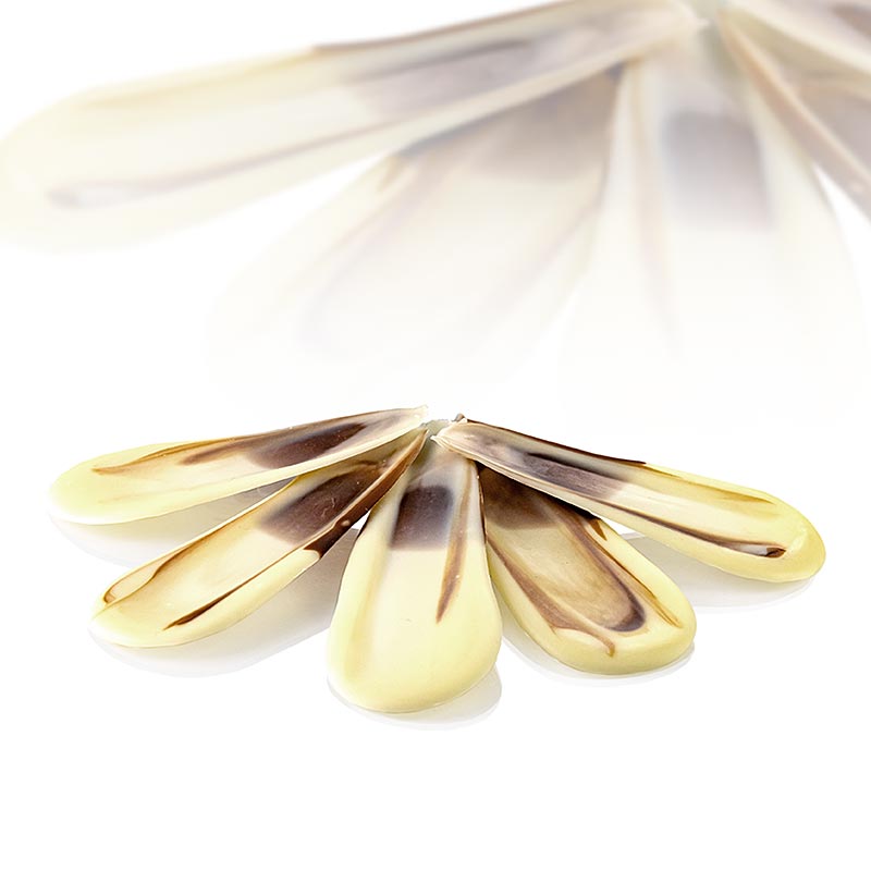 Adorno decorativo - pluma - chocolate blanco, jaspeado, 70 mm - 235 g, 126 piezas - Cartulina