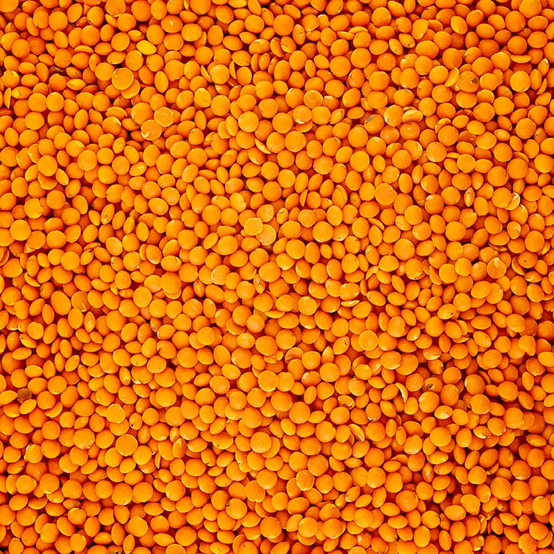 Lentil merah, organik - 1 kg - beg