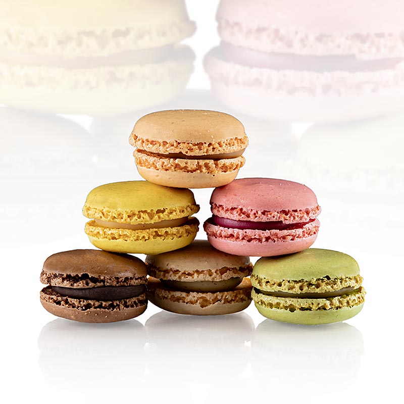 Macarons-sekoitus, taytetty, Ø 3,5 cm, 6 erilaista - 864 grammaa - Pahvi