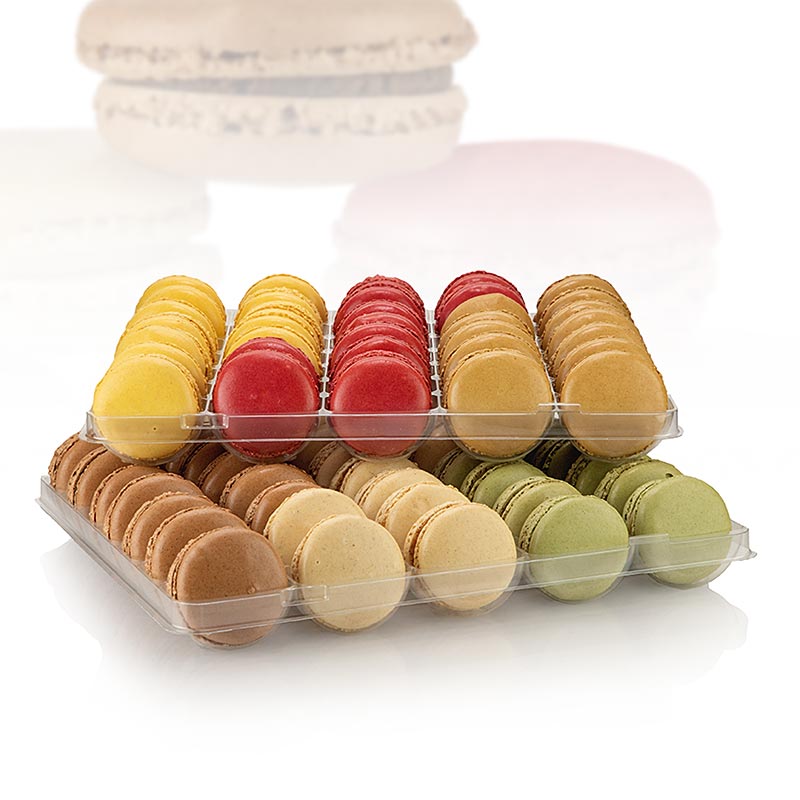 Campuran Makaron Amarella, 6 varian - 1,05 kg, 70 buah - Kardus