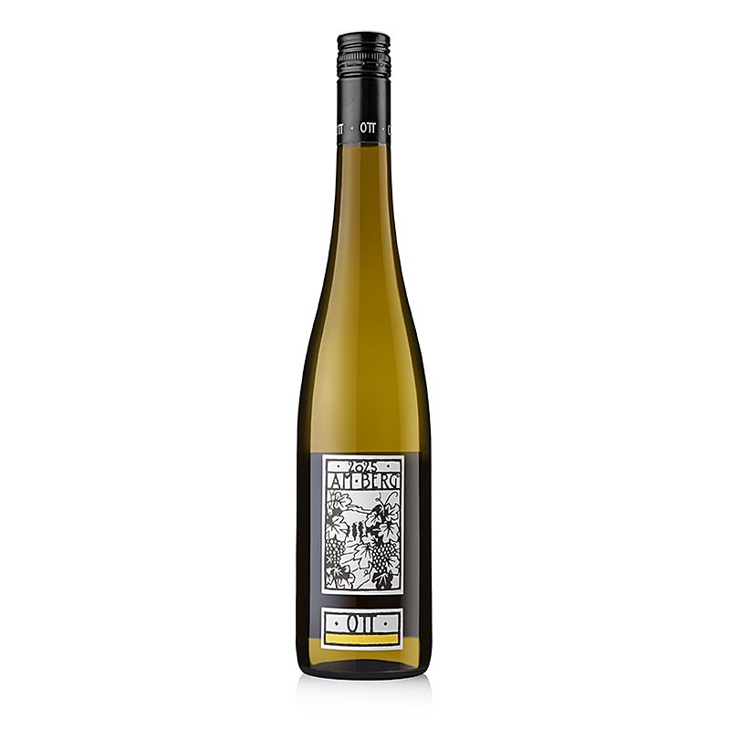 2025 Am Berg Gruner Veltliner QW, sec, 12% vol., Ott, organic - 750 ml - Ampolla