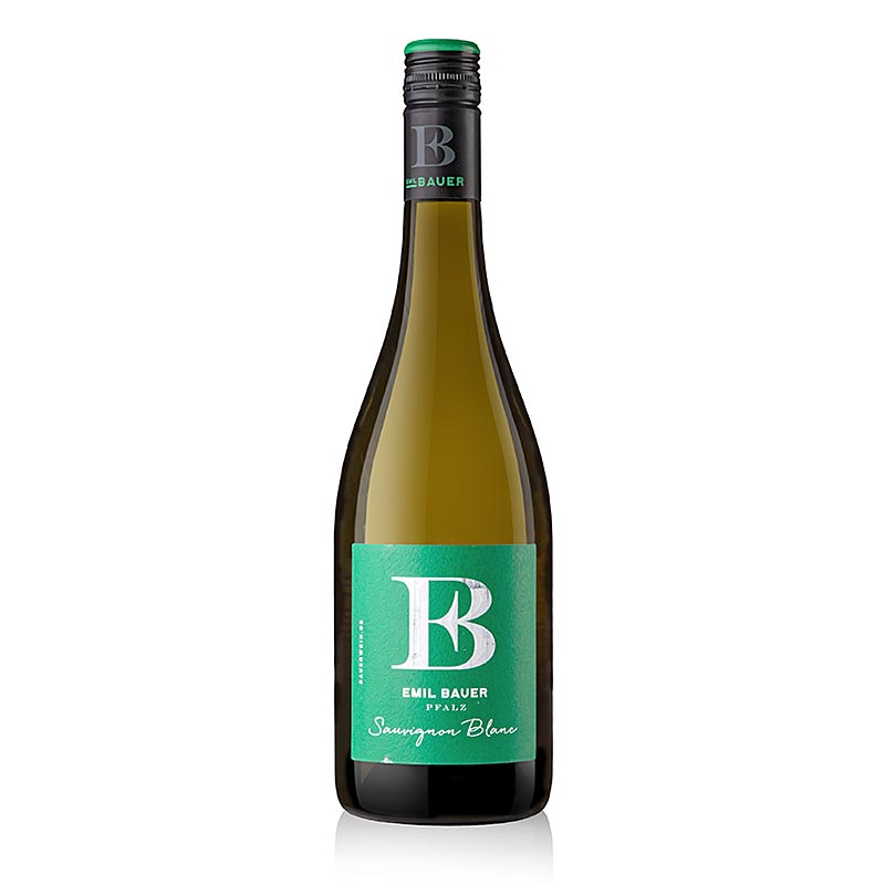2025 Bundschuh Sauvignon Blanc, white wine QW, dry, 12.5% vol., Emil Bauer - 750 ml - Bottle